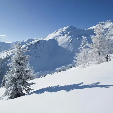 Chalet Arenablick Zell am Ziller